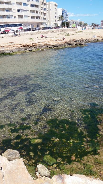 Apartamento Mariposa Lejlighed Torrevieja Eksteriør billede